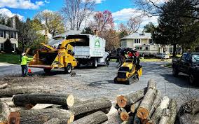 Best Seasonal Cleanup (Spring/Fall)  in Holly Ridge, NC